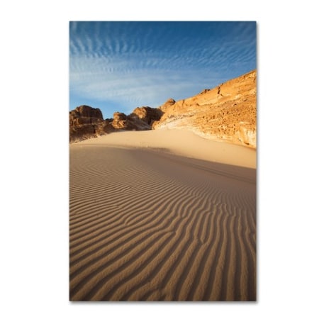 Robert Harding Picture Library 'Waved Sand' Canvas Art,16x24